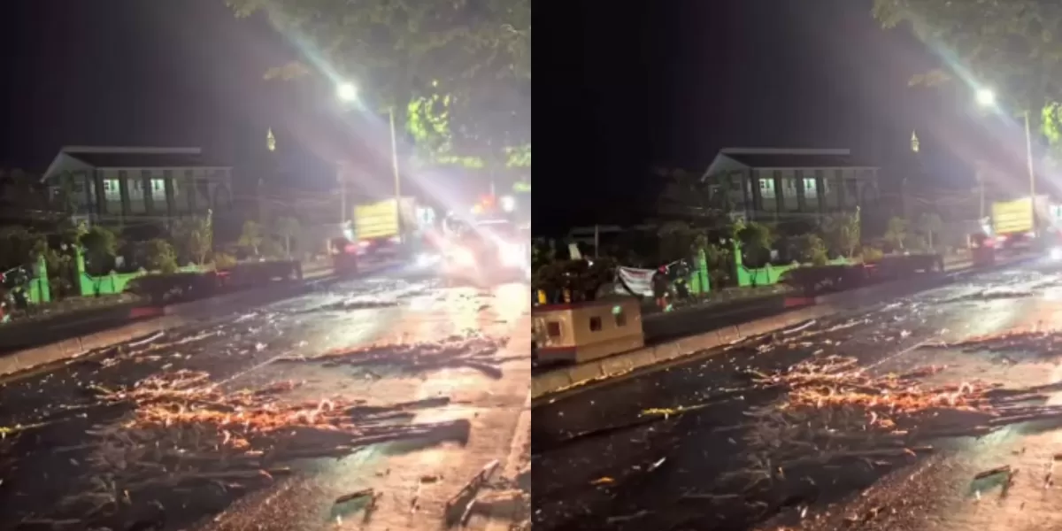 Tebu Berceceran di Pantura Kendal Bikin Pengendara Nyaris Celaka, Warganet Bereaksi