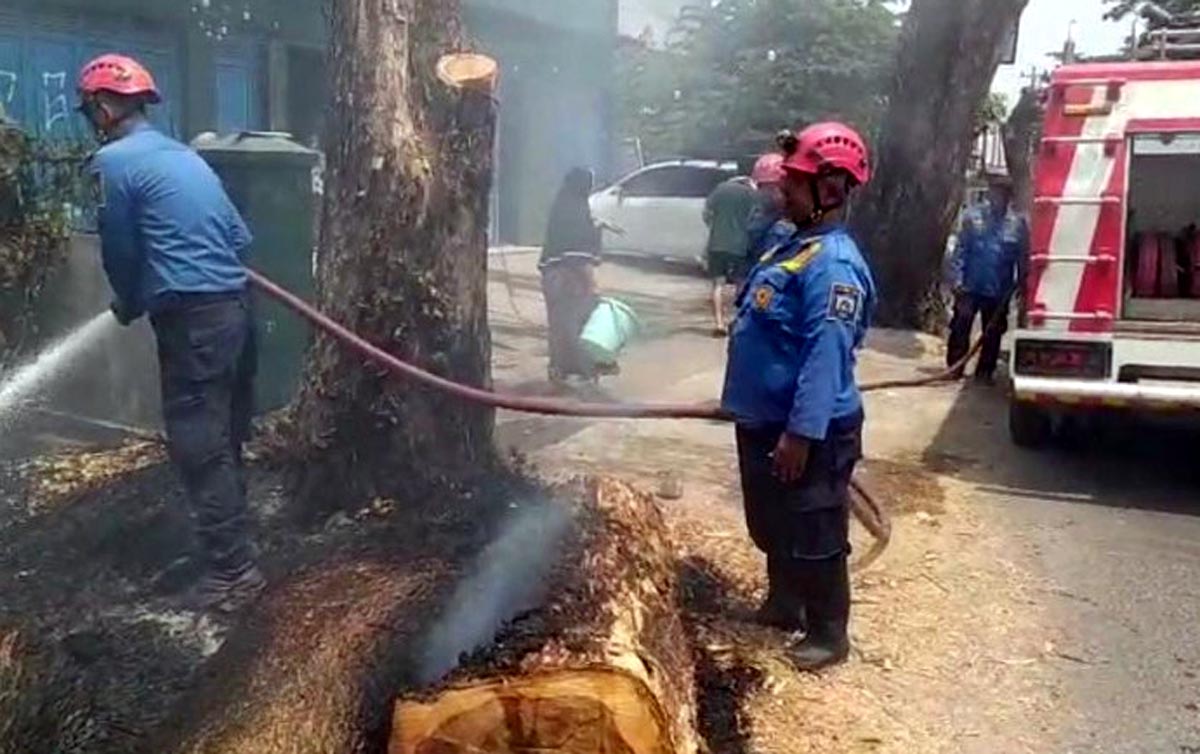 Kebakaran Lahan di Trayeman Slawi Nyaris Lalap Gedung MWC NU, Damkar Berhasil Padamkan Api