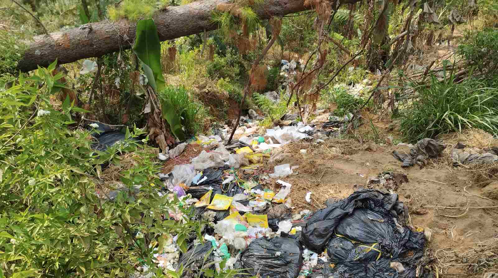 Sampah Dapur Diduga dari SPPG Dawuhan 1 Ditemukan di Hutan Sirampog Brebes