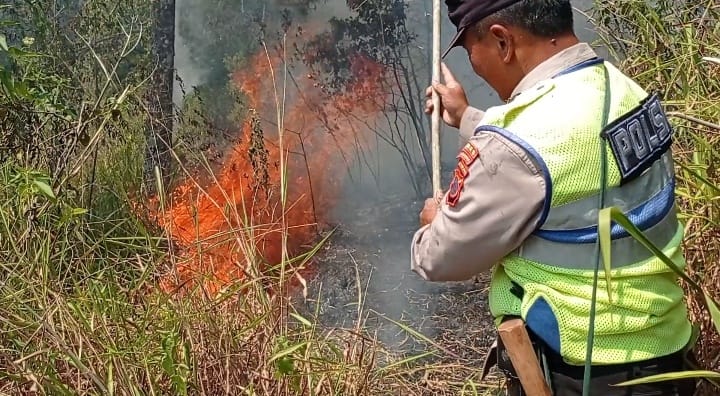 Kebakaran Hutan Lindung Gunung Lawu di Tawangmangu, Petugas Gabungan Berjibaku Padamkan Api
