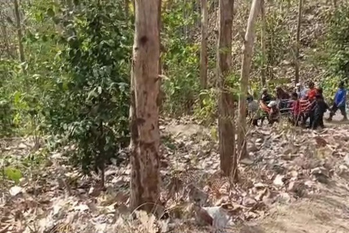 Kebakaran Hutan Jati di Banyumas Tewaskan Lansia 72 Tahun