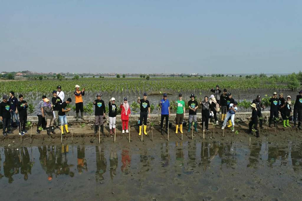 Peringati Satu Tahun Mageri Segoro, 1.300 Bibit Mangrove Ditanam di Pesisir Batang