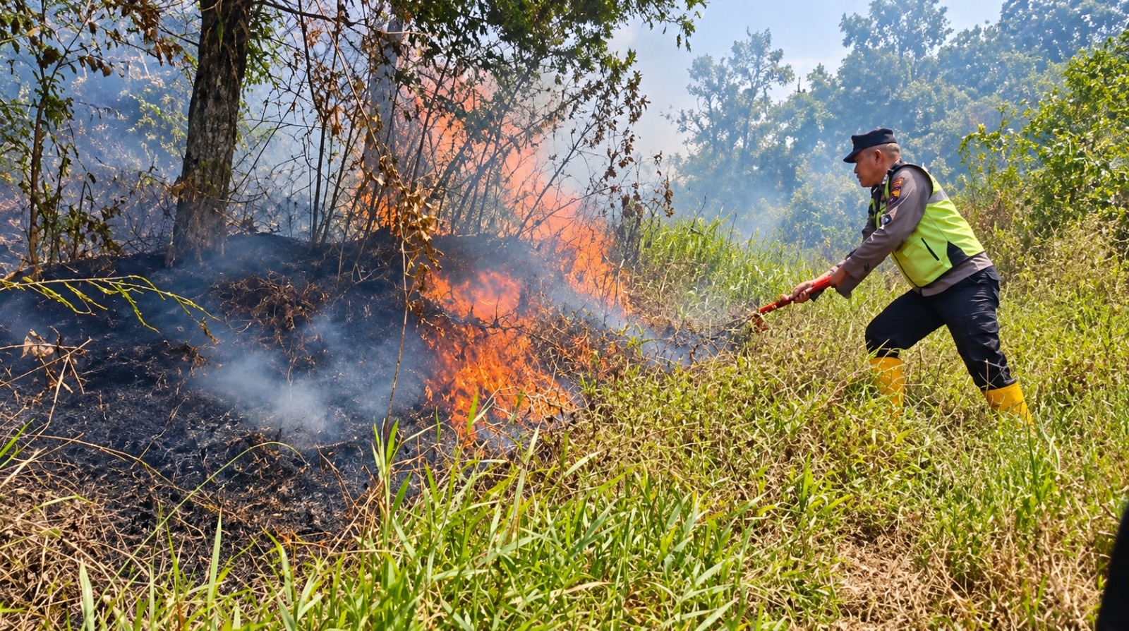 Kebakaran Hutan Pinus Gunung Anjing Bojong Padam, 1,5 Hektare Semak Terbakar