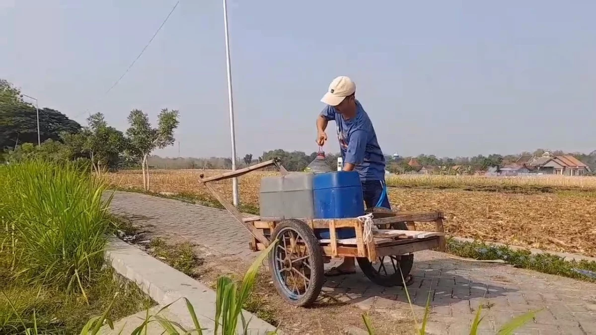 Kemarau Panjang, Warga Blora Kesulitan Air Bersih hingga Cari ke Tengah Sawah