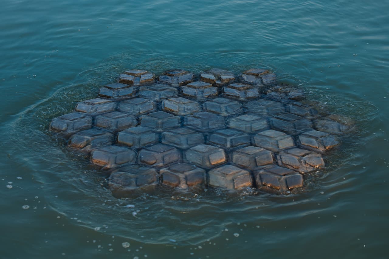 AHY dan Ahmad Luthfi Tanam Mangrove dengan Teknologi HexBricks di Timbulsloko Demak