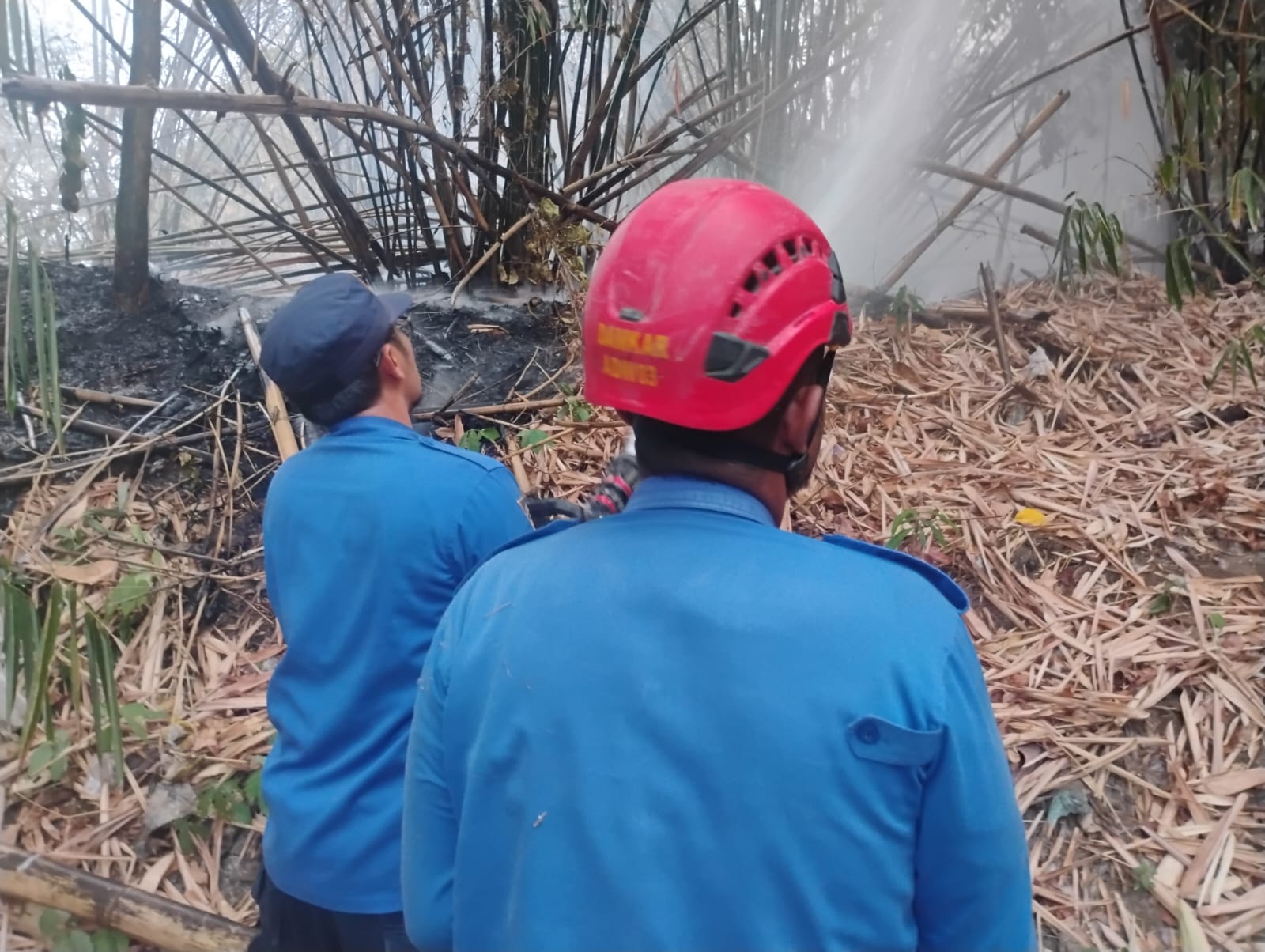 Sehari Tiga Kali Kebakaran Lahan di Tegal, Damkar Kerja Ekstra