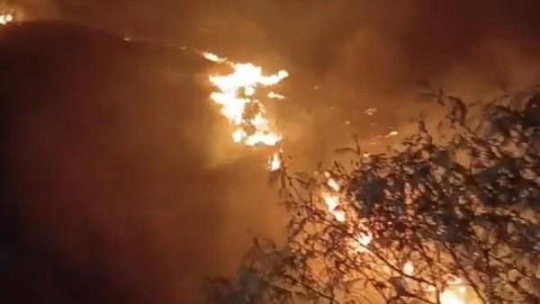 Kebakaran Hutan di Gunung Sumbing, 152 Pendaki Dievakuasi dan Jalur Pendakian Ditutup