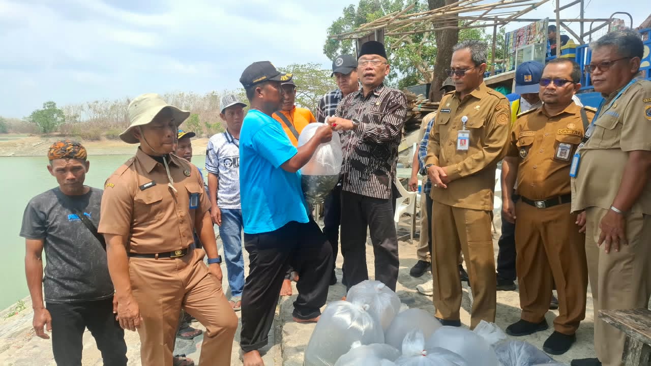 213.700 Benih Ikan Ditebar di Brebes, DPRD Dorong Potensi Waduk Malahayu