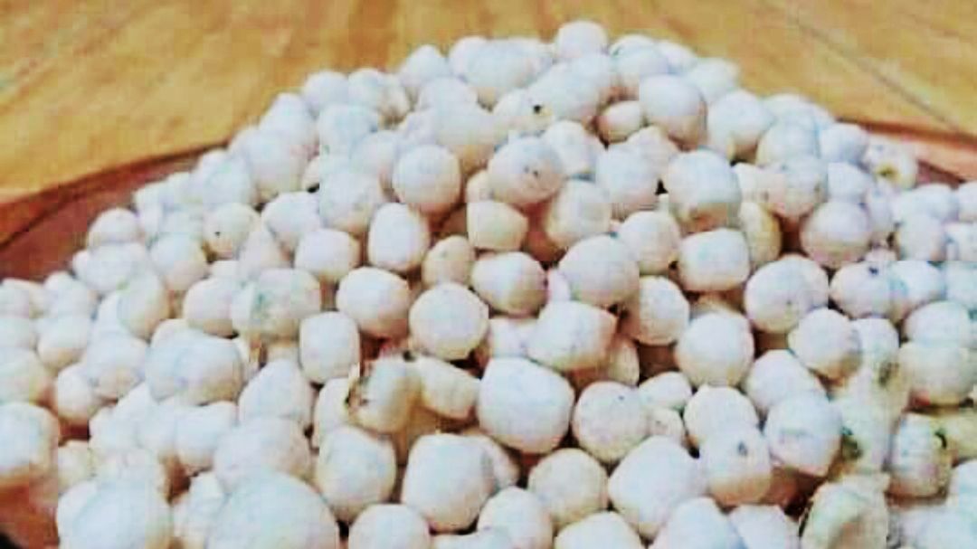 Pilus Kletuk, Jajanan Khas Tegal