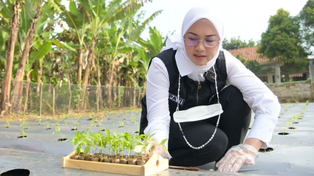 Anne Ratna Mustika Saat di Lahan Tanam