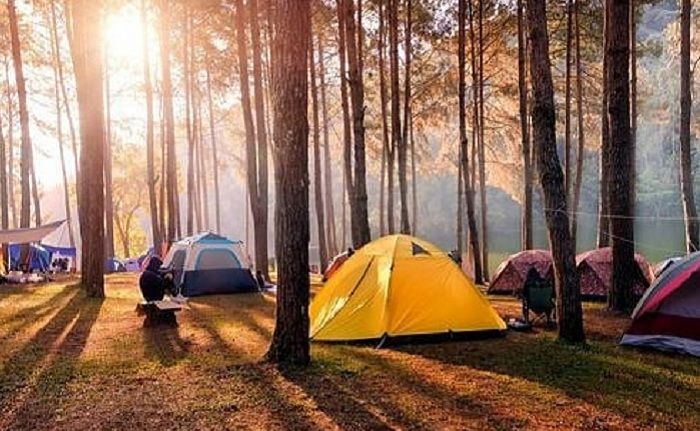 camping ground Guci Forest