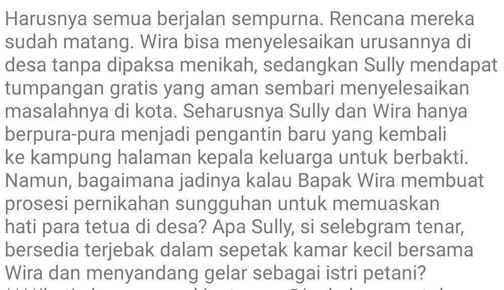 SINOPSIS NOVEL