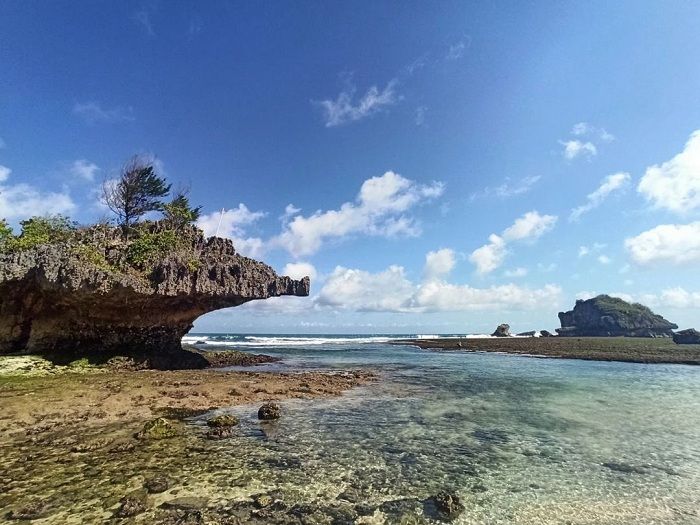 Pantai Ngandong lokasi family gathering Haryanto Mania